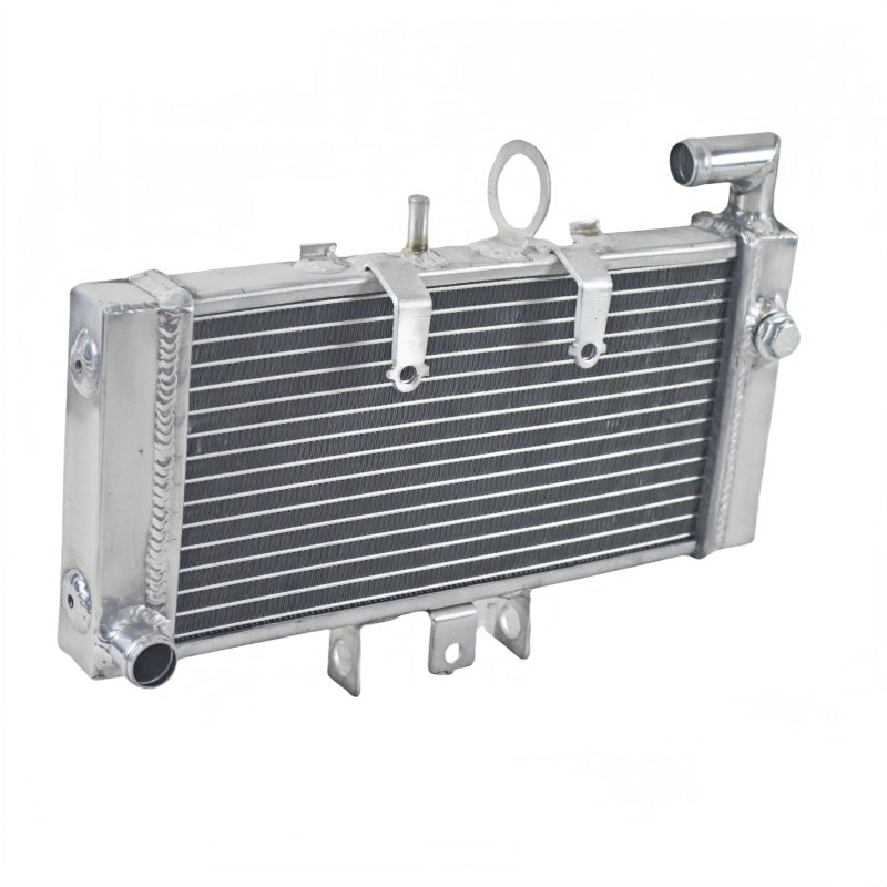 Aluminum radiator For 1999-2010 Honda CB400 VTEC REVO 1/2/3/4 1999 2000 2001 2002 2003 2004 2005 2006 2007 2008 2009 2010
