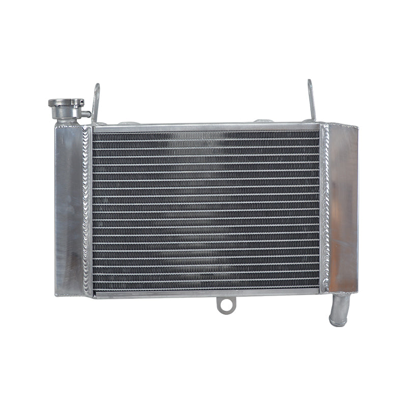 Aluminum Radiator for 1997-2007 Yamaha YZF600R 1998 1999 2000 2001 2002 2003