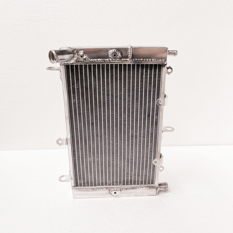 GPI 3 ROW Aluminum Radiator For 2001-2005 Yamaha FZS1000 RN06 FZ1 FZ1S FZ1T FZ 1 Fazer 2001 2002 2003 2004 2005
