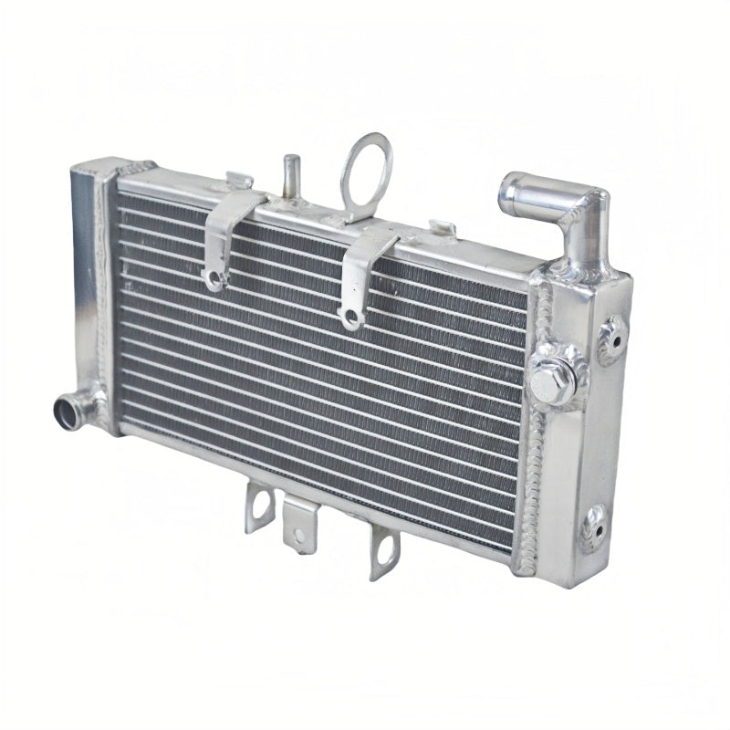 Aluminum radiator For 1999-2010 Honda CB400 VTEC REVO 1/2/3/4 1999 2000 2001 2002 2003 2004 2005 2006 2007 2008 2009 2010