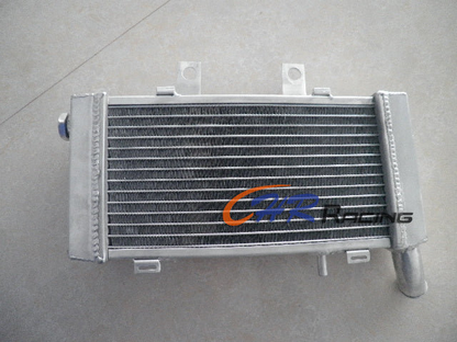 Aluminum Radiator For HONDA VFR800FI VFR800-Fi (RC46) Interceptor 1998-2001 1999