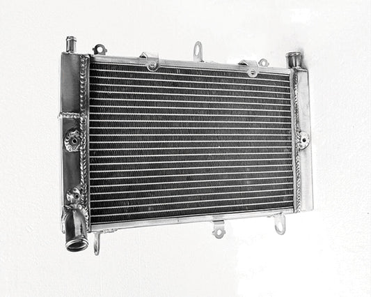 3 ROW Aluminum Radiator For  2001-2005 Yamaha FZS1000 RN06 FZ1 FZ1S FZ1T FZ 1 Fazer  2001 2002 2003 2004 2005