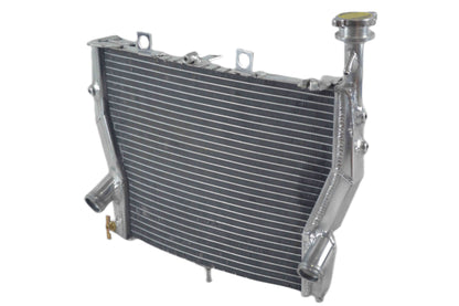Aluminum alloy radiator  for 2009-2017 BMW S1000RR S1000 RR 2009 2010 2011 2012 2013 2014 2015 2016 2017