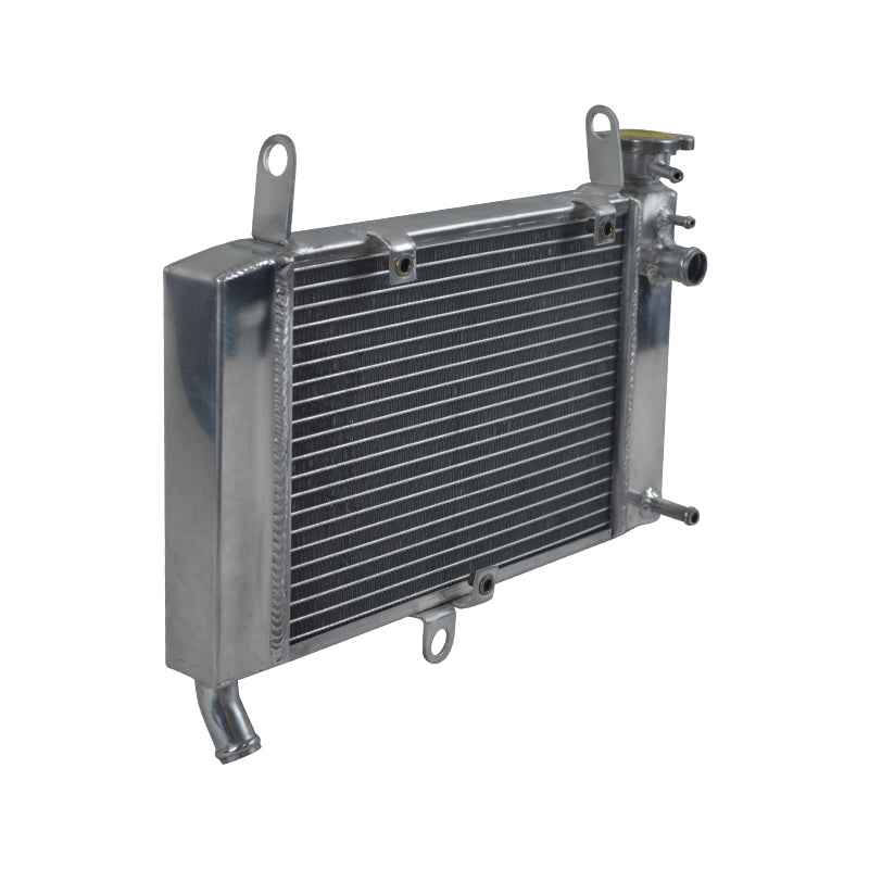 Aluminum Radiator for 1997-2007 Yamaha YZF600R 1998 1999 2000 2001 2002 2003