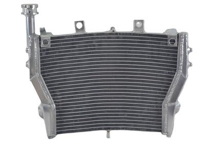 Aluminum alloy radiator  for 2009-2017 BMW S1000RR S1000 RR 2009 2010 2011 2012 2013 2014 2015 2016 2017