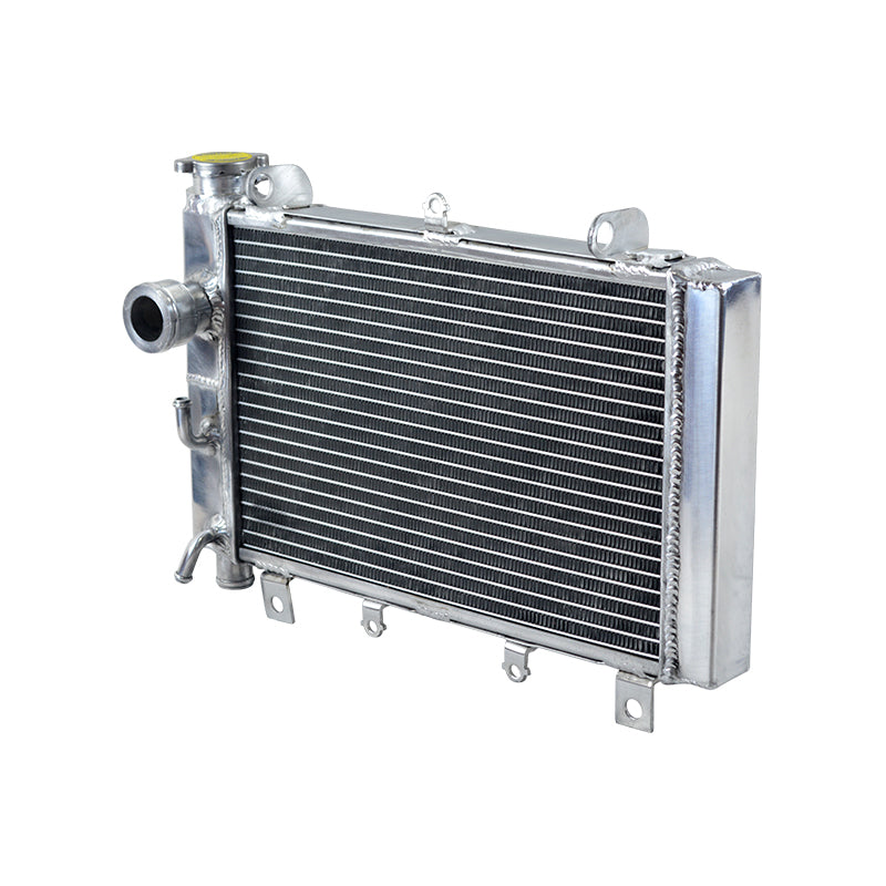 3 Row Aluminum Radiator for 2000 2001 2002 2003 Triumph TT 600 TT600 806AD 600cc