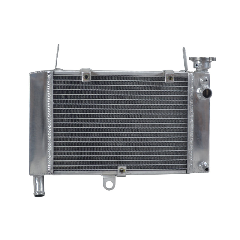Aluminum Radiator for 1997-2007 Yamaha YZF600R 1998 1999 2000 2001 2002 2003