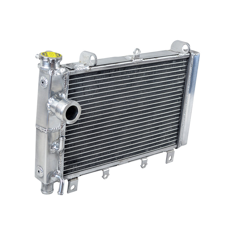 3 Row Aluminum Radiator for 2000 2001 2002 2003 Triumph TT 600 TT600 806AD 600cc