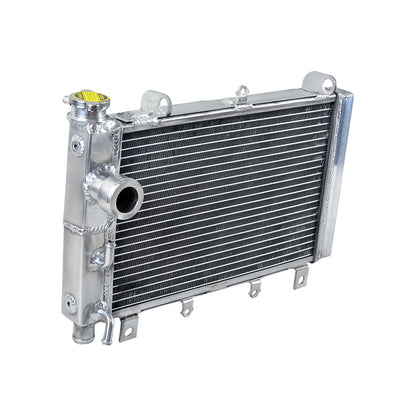 3 Row Aluminum Radiator for 2000 2001 2002 2003 Triumph TT 600 TT600 806AD 600cc
