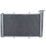 GPI Aluminum Radiator For Yamaha Viking 700 YXM700 14-21 YXC700 15-21 Wolverine 2014 2015 2016 2017 2018 2019 2020 2021