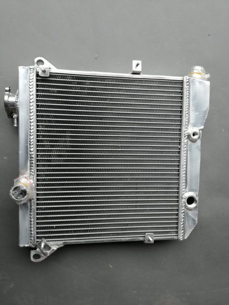 GPI 2 row Aluminum Radiator for Autobianchi A112 3-7 series S4 S5 S6 1975-1985 1975 1976 1977 1978 1979 1980 1981 1982 1983 1984 1985