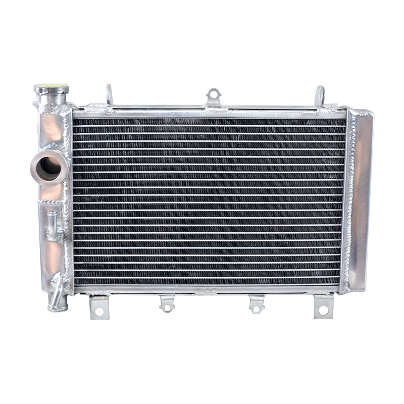 3 Row Aluminum Radiator for 2000 2001 2002 2003 Triumph TT 600 TT600 806AD 600cc