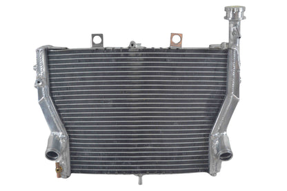 Aluminum alloy radiator  for 2009-2017 BMW S1000RR S1000 RR 2009 2010 2011 2012 2013 2014 2015 2016 2017