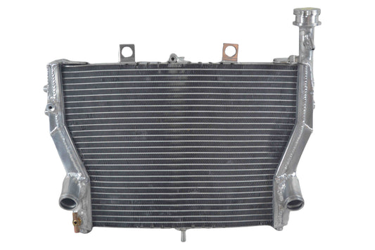 Aluminum alloy radiator  for 2009-2017 BMW S1000RR S1000 RR 2009 2010 2011 2012 2013 2014 2015 2016 2017