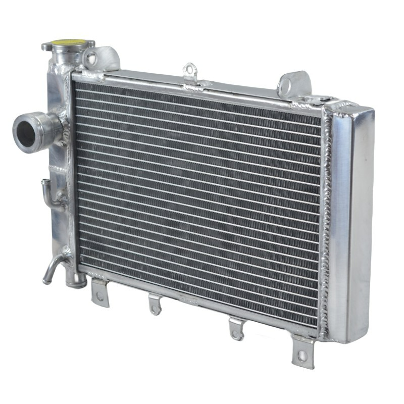 3 Row Aluminum Radiator For TRIUMPH TT600 fits 2000-2003 2000 2001 2002 2003
