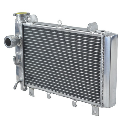 3 Row Aluminum Radiator For TRIUMPH TT600 fits 2000-2003 2000 2001 2002 2003