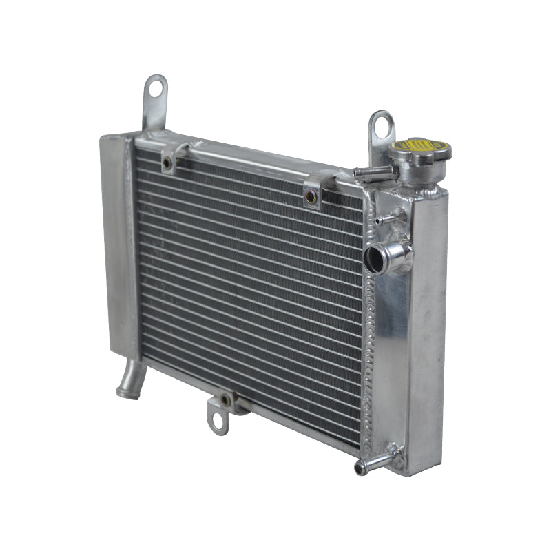 Aluminum Radiator for 1997-2007 Yamaha YZF600R 1998 1999 2000 2001 2002 2003