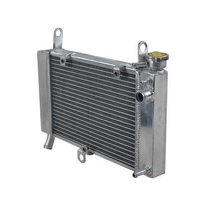 Aluminum Radiator for 1997-2007 Yamaha YZF600R 1998 1999 2000 2001 2002 2003