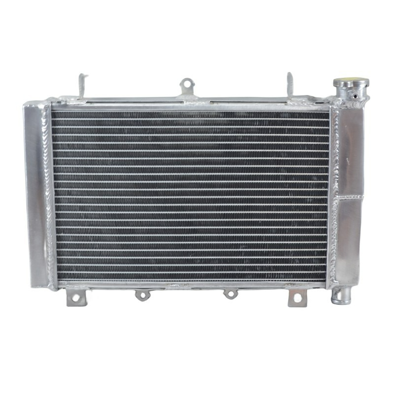 3 Row Aluminum Radiator For TRIUMPH TT600 fits 2000-2003 2000 2001 2002 2003