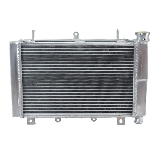 3 Row Aluminum Radiator For TRIUMPH TT600 fits 2000-2003 2000 2001 2002 2003