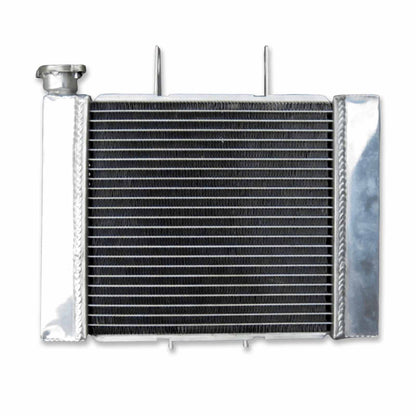3 Row Aluminum Radiator FOR Can-Am Rally 175 BOMBARDIER RALLY 200 2003-2007