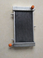 GPI Aluminum radiator Fit 2005-2010 Aprilia RS 125 RS125 2005 2010 2006 2007 2008 2009 2010